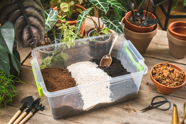 Choosing the Right LINKFLIX Adhesive for Your Terrarium