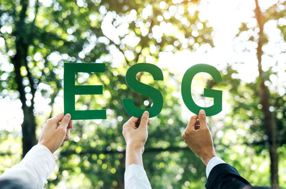 The Green Advantage LINKFLIX’s Role in Corporate ESG Strategies