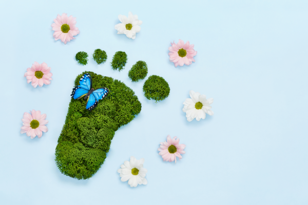 The Role of Adhesives in Carbon Footprint