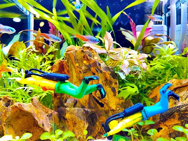 Tips for Safe Application in Aquariums